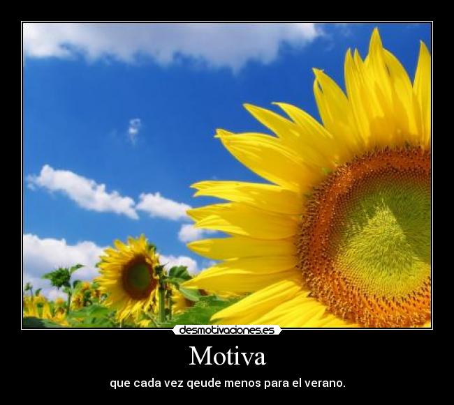 carteles verano desmotivaciones