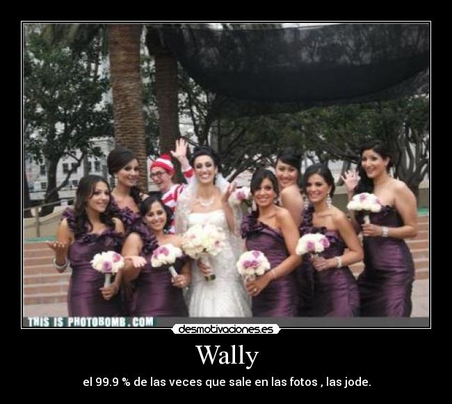 Wally - 
