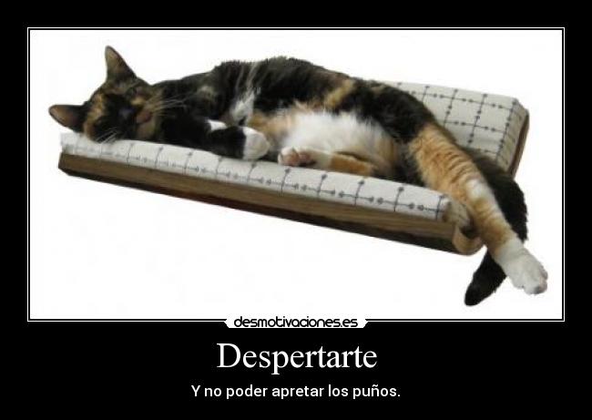 Despertarte - Y no poder apretar los puños.