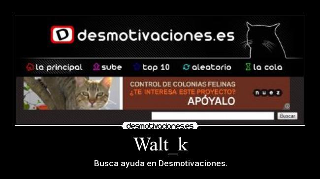 Walt_k - Busca ayuda en Desmotivaciones.