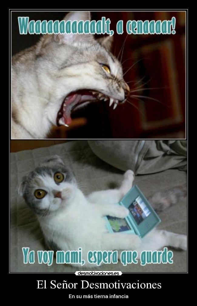 El Señor Desmotivaciones - En su más tierna infancia