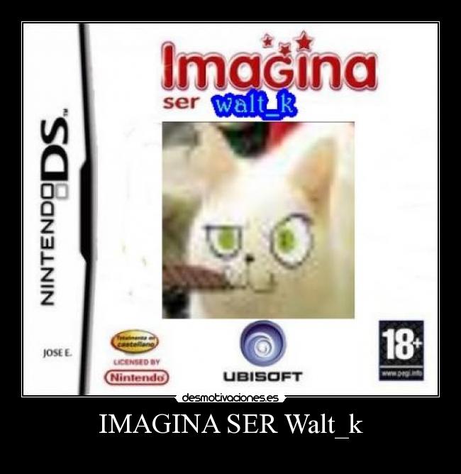 IMAGINA SER Walt_k -