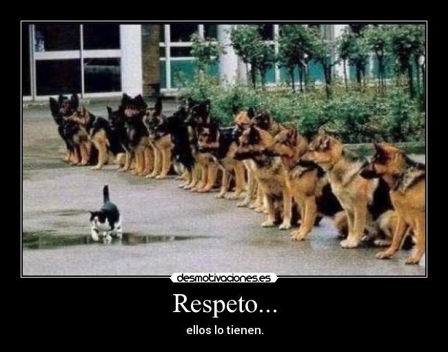 Respeto... - 