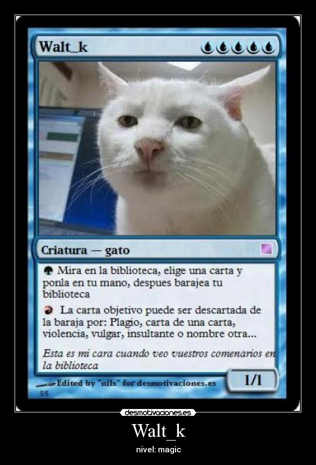 Walt_k - nivel: magic