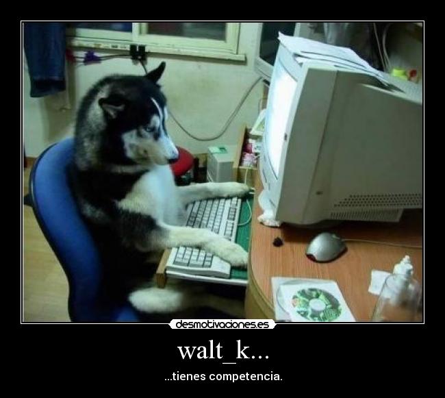 walt_k... - ...tienes competencia.