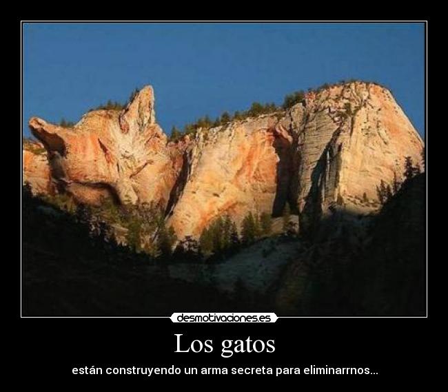 Los gatos - están construyendo un arma secreta para eliminarrnos...