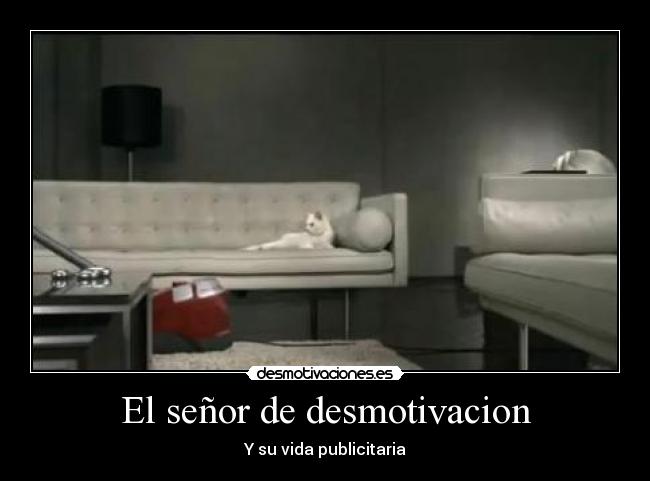 El señor de desmotivacion -