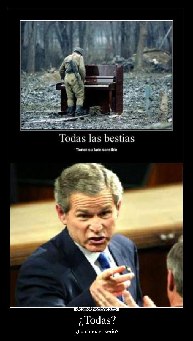 ¿Todas? - ¿Lo dices enserio?