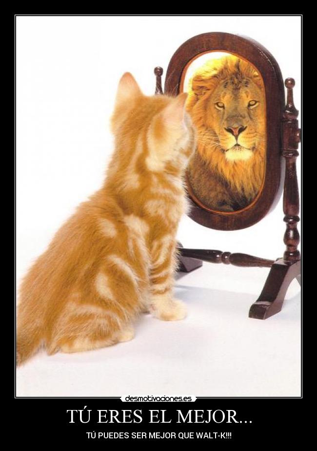 TÚ ERES EL MEJOR... - TÚ PUEDES SER MEJOR QUE WALT-K!!!
