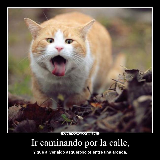 Ir caminando por la calle, -