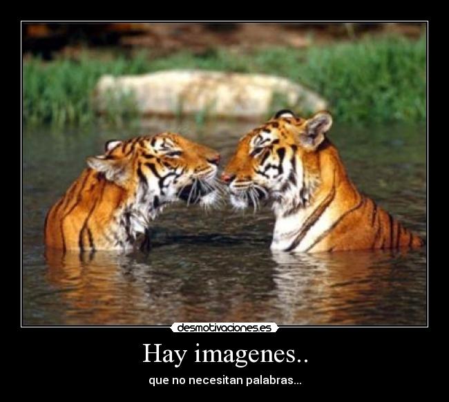 Hay imagenes.. - que no necesitan palabras...