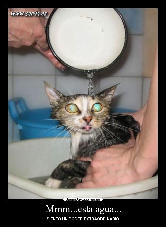 Mmm...esta agua... - 