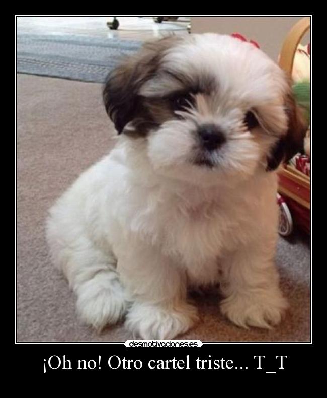 ¡Oh no! Otro cartel triste... T_T - 