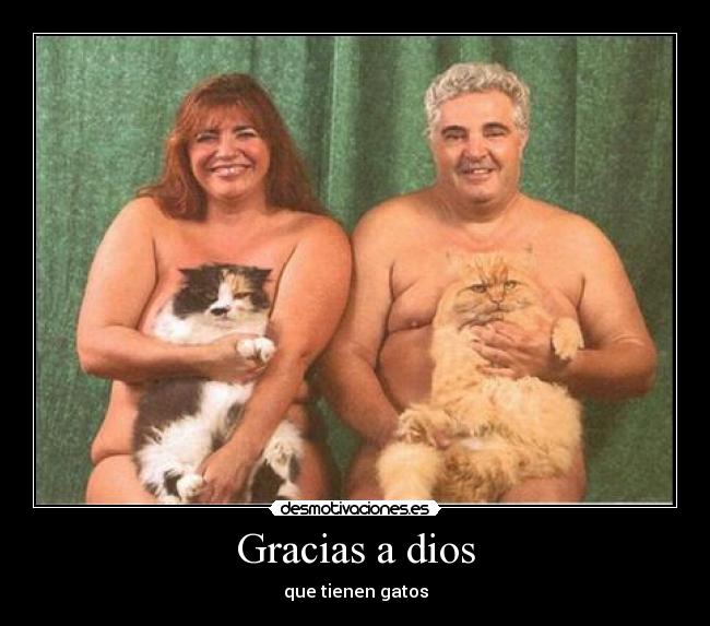 Gracias a dios - que tienen gatos