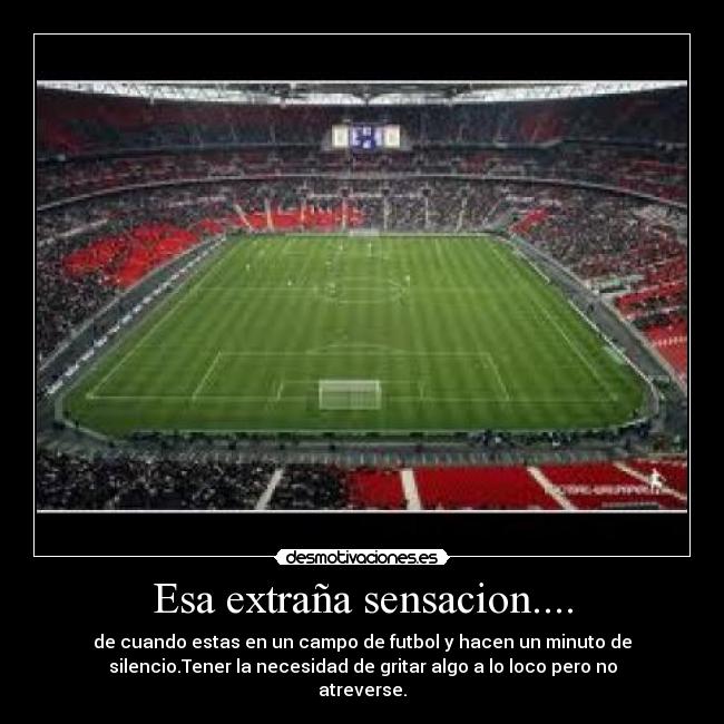 Esa extraña sensacion.... - 