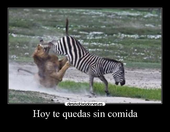 Hoy te quedas sin comida -