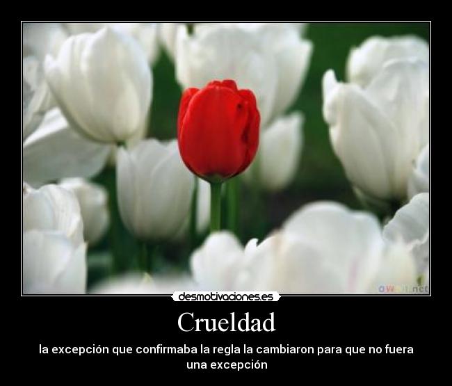 carteles excepcion regla desmotivaciones