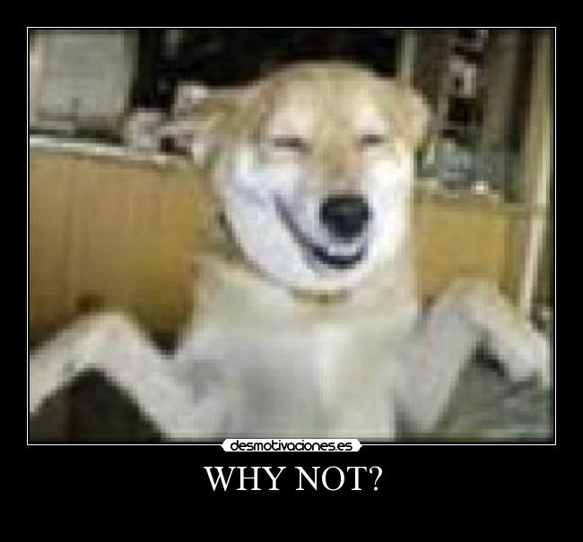 WHY NOT? -