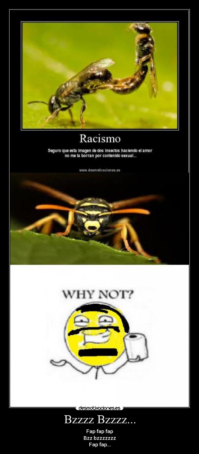 Bzzzz Bzzzz... - Fap fap fap
Bzz bzzzzzzz
Fap fap...