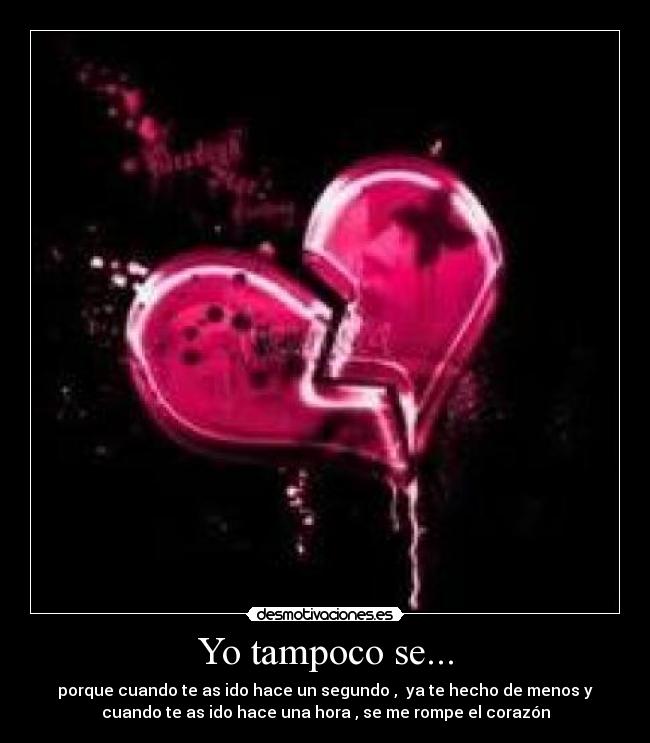 Yo tampoco se... - 