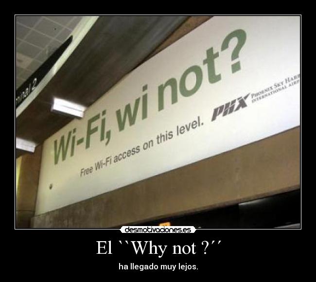 El ``Why not ?´´ -