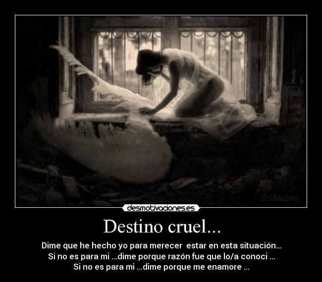 Destino cruel... - Dime que he hecho yo para merecer estar en esta situación...
Si no es para mi ...dime porque razón fue que lo/a conoci ...
Si no es para mi ...dime porque me enamore ...
