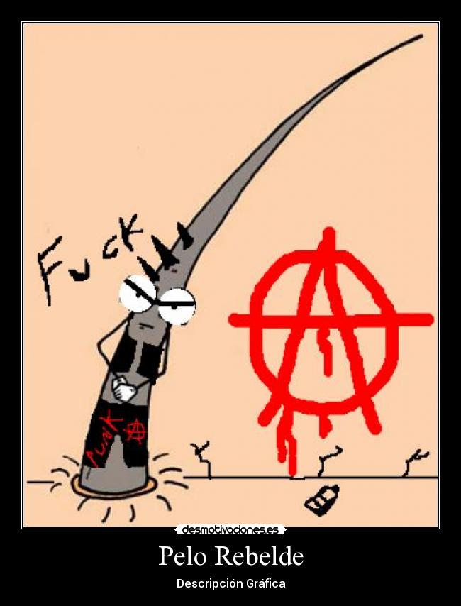 Pelo Rebelde - Descripción Gráfica