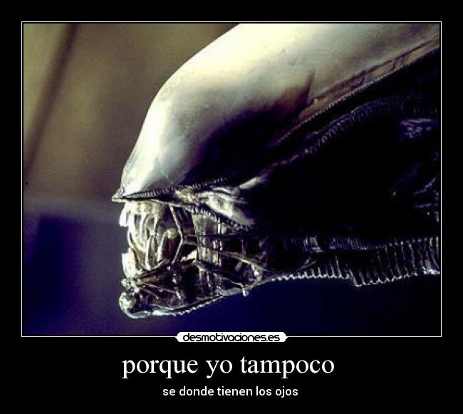 carteles porque ojos tampoco desmotivaciones