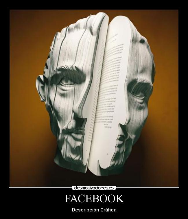 FACEBOOK - Descripción Gráfica