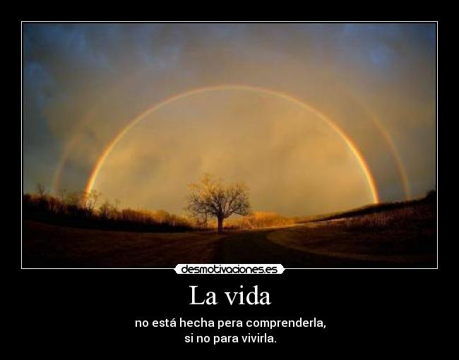 La vida - no está hecha pera comprenderla,
si no para vivirla.