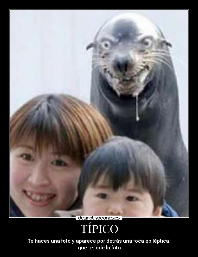 TÍPICO - Te haces una foto y aparece por detrás una foca epiléptica 
que te jode la foto