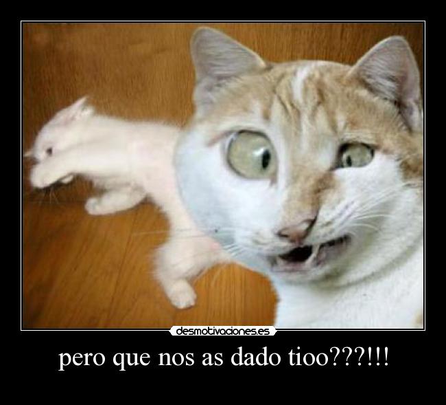 pero que nos as dado tioo???!!! - 