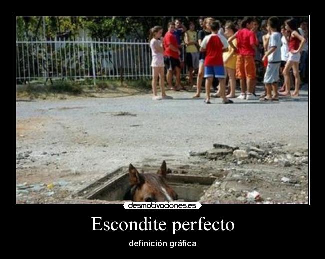 Escondite perfecto -