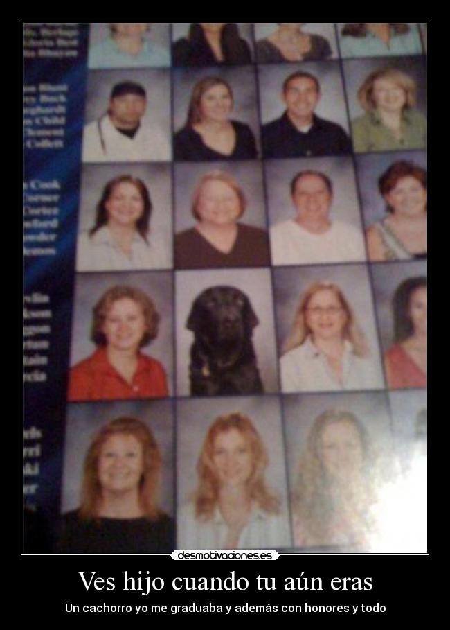 carteles graduar desmotivaciones