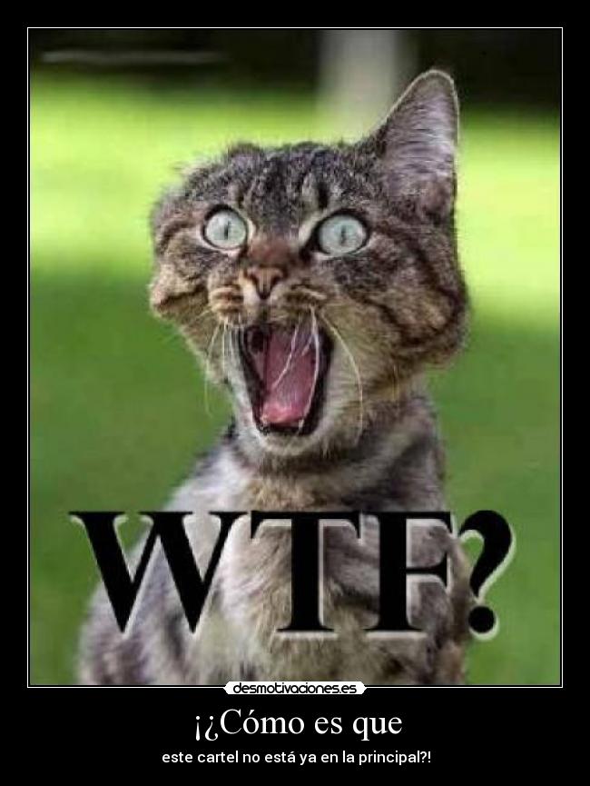 ¡¿Cómo es que - este cartel no está ya en la principal?!
