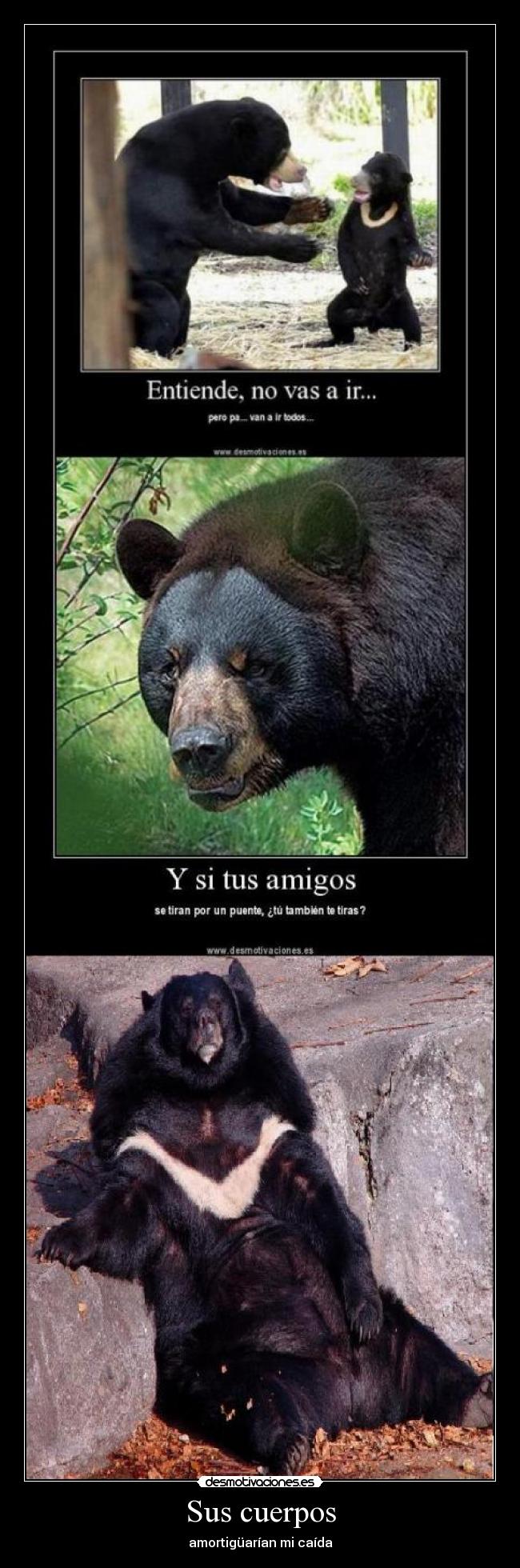 Sus cuerpos - amortigüarían mi caída