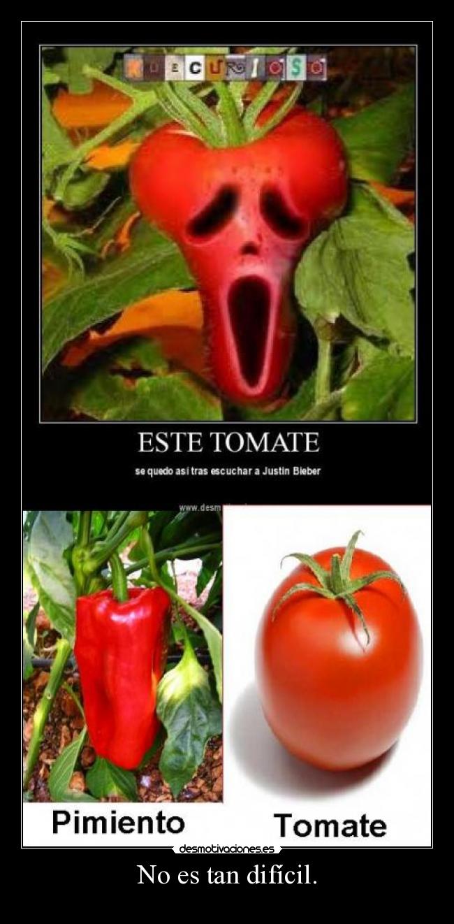 No es tan difícil. -