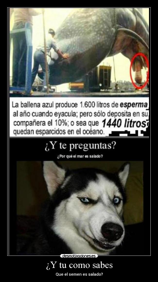 ¿Y tu como sabes - Que el semen es salado?