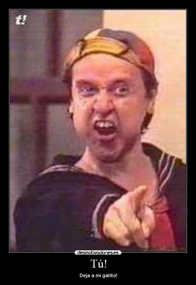 Tú! - Deja a mi gatito!