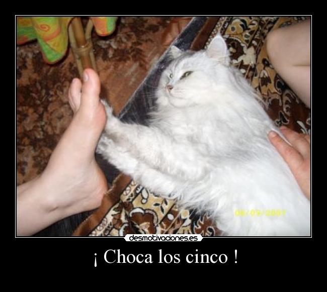 carteles jeje desmotivaciones