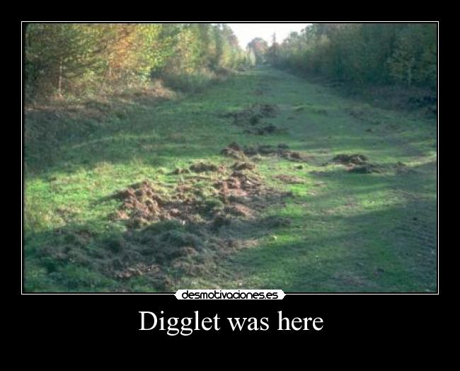 Digglet was here -