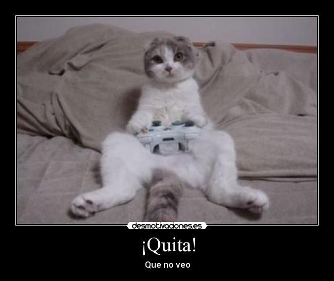 ¡Quita! - Que no veo