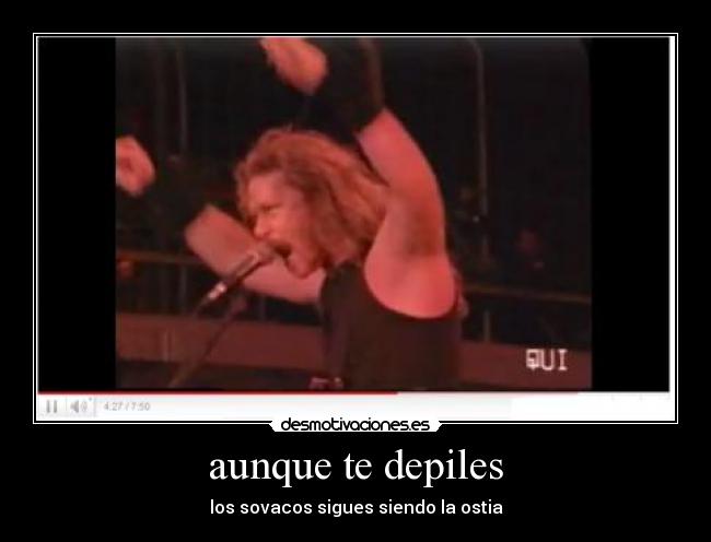 aunque te depiles - los sovacos sigues siendo la ostia