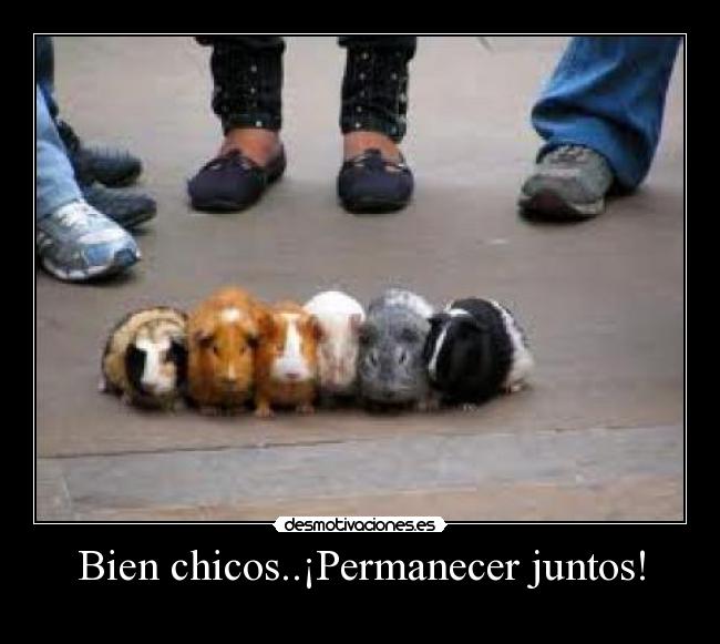 Bien chicos..¡Permanecer juntos! -