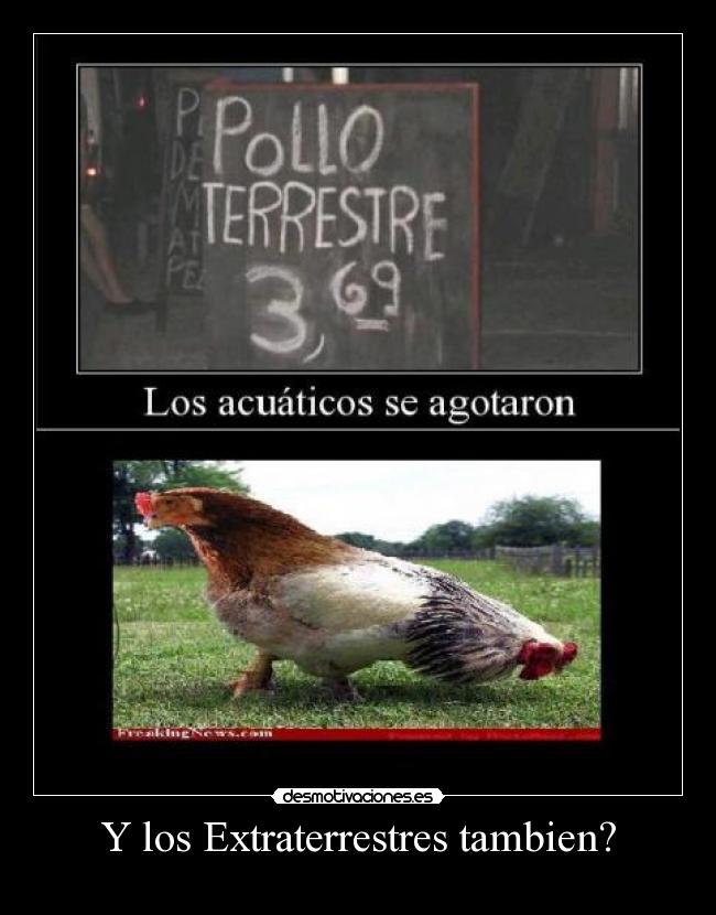 Y los Extraterrestres tambien? -