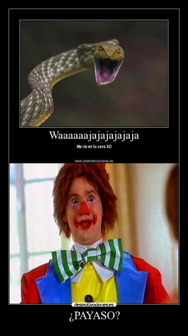 ¿PAYASO? - 