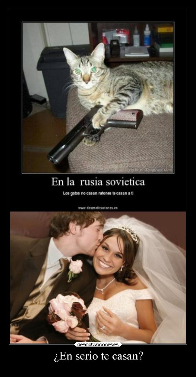 ¿En serio te casan? -