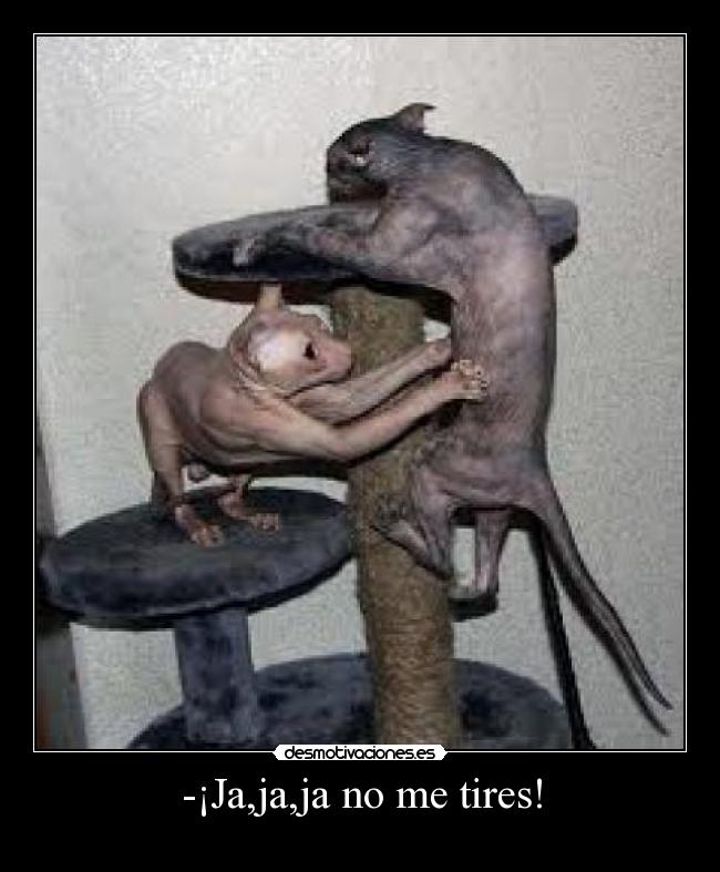 -¡Ja,ja,ja no me tires! -