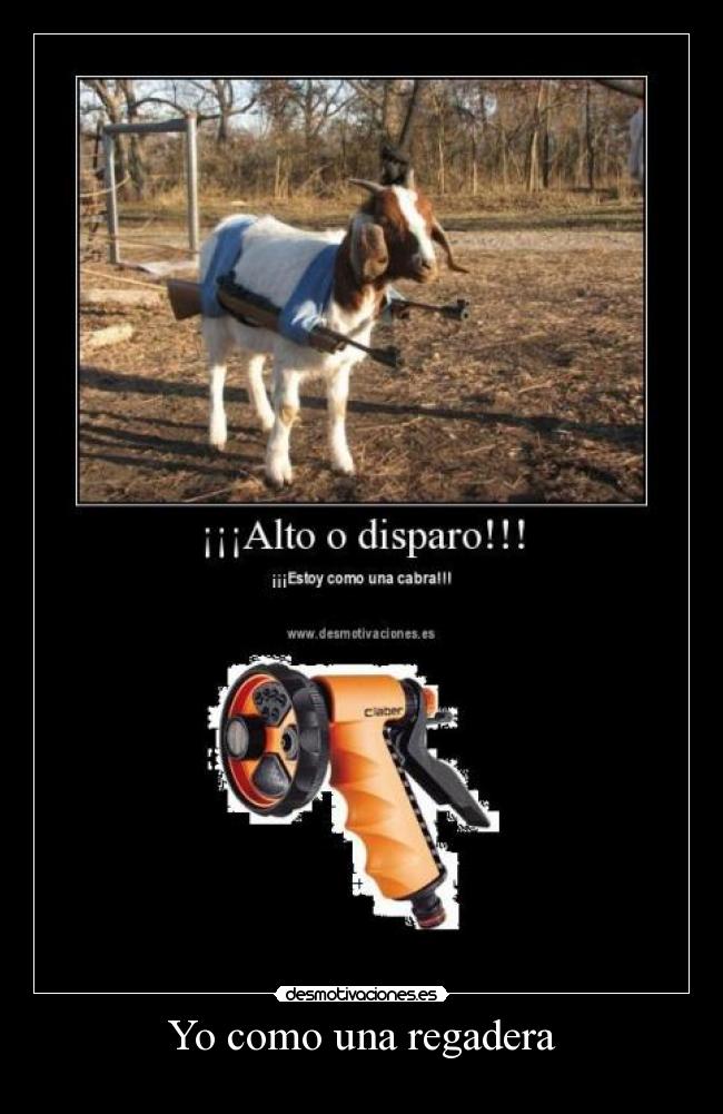 carteles ssasa desmotivaciones