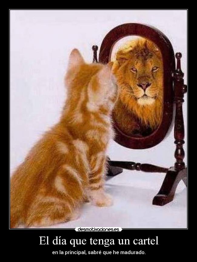 carteles madurar desmotivaciones